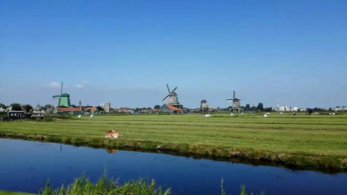 全球聚焦！中國(guó)國(guó)際進(jìn)口博覽會(huì)倒計(jì)時(shí)6天，澳優(yōu)將攜這兩大明星品牌亮相3