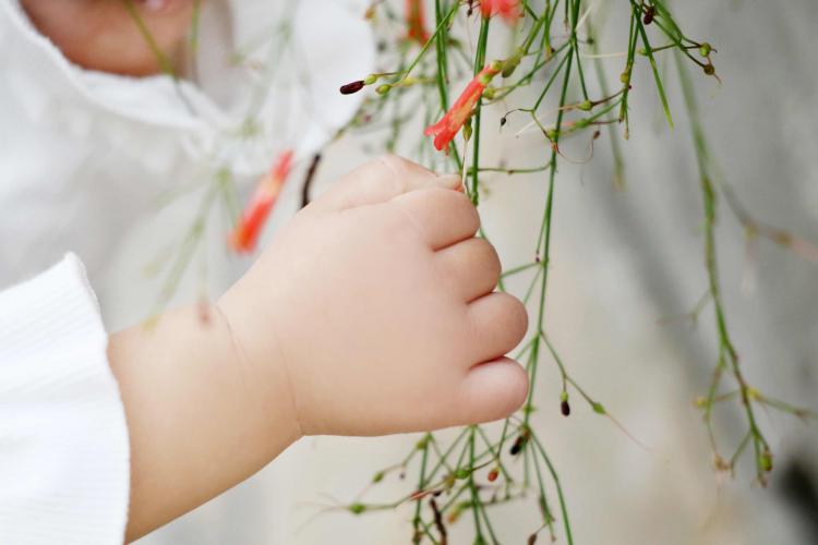 中國(guó)五分之一兒童體重超標(biāo) 美媒：垃圾食品吃多了