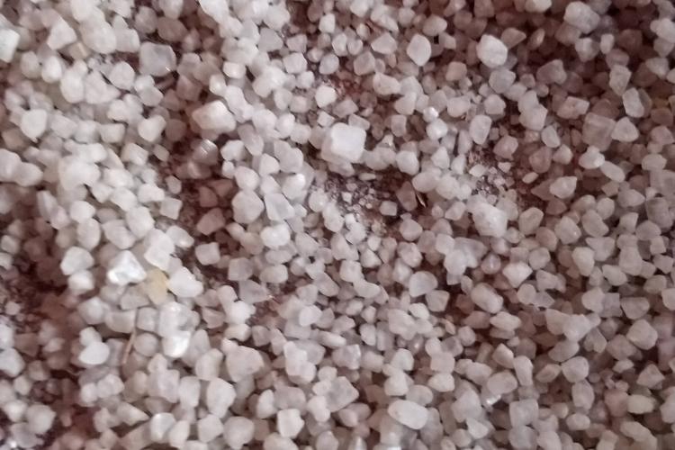 有甲狀腺疾病的孕媽媽該如何補碘？