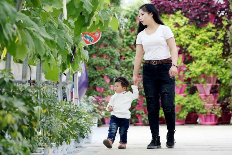 寶寶學(xué)走路的最佳時(shí)機(jī)