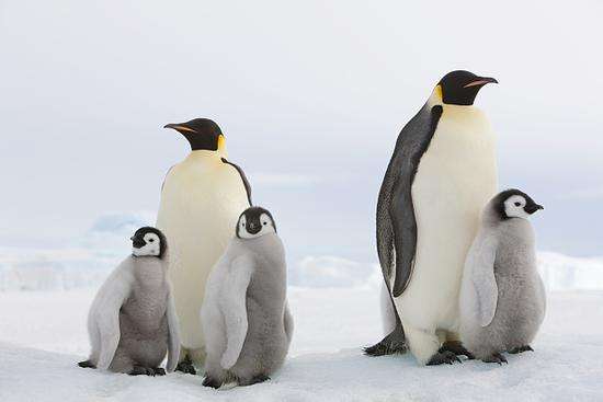 警惕！研究稱全球變暖將嚴重影響兒童健康