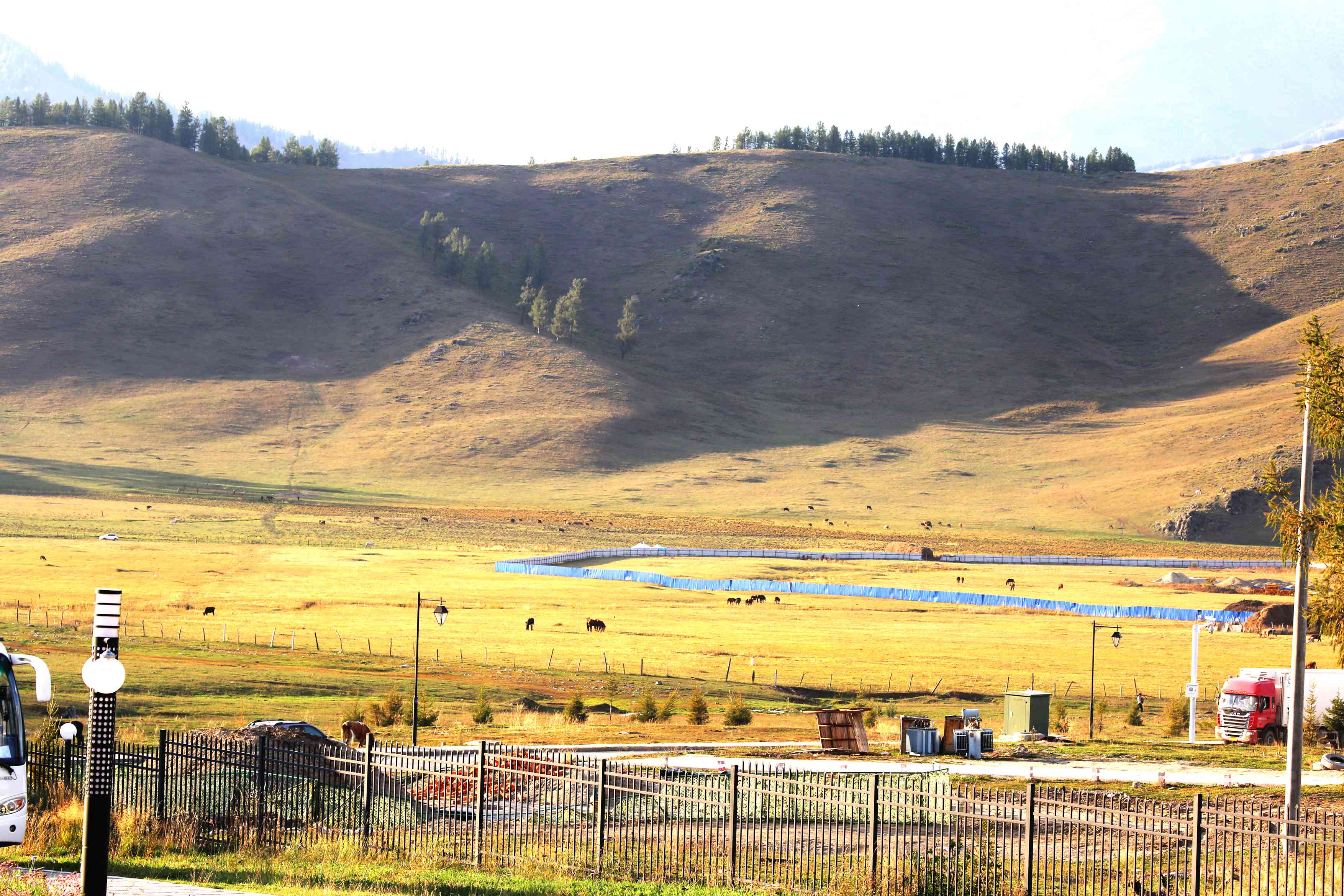 早餐習(xí)慣改變 竟讓美國最大牛奶公司面臨破產(chǎn)！