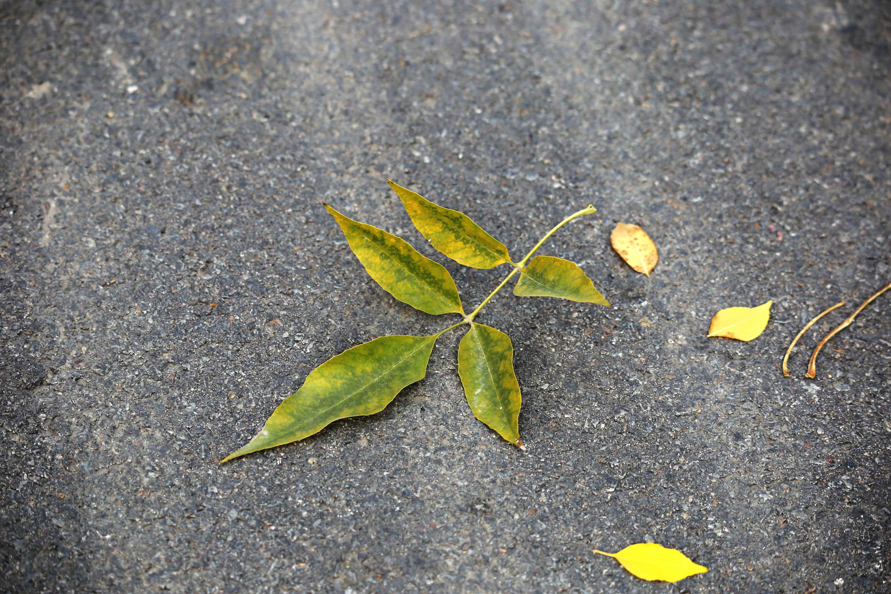 父母對子女撒謊 當(dāng)心這個(gè)習(xí)慣會“傳染”