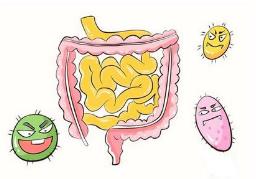 孩子一受涼就拉肚子到底是怎么回事？