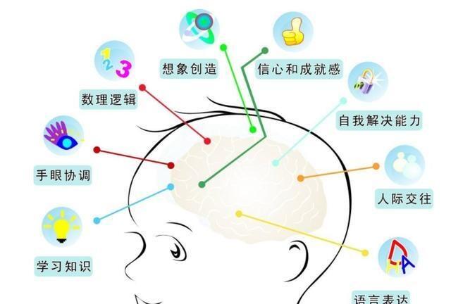 哈佛大學(xué):兒童大腦發(fā)育的高峰期只有三次，家長(zhǎng)抓對(duì)一次就夠了