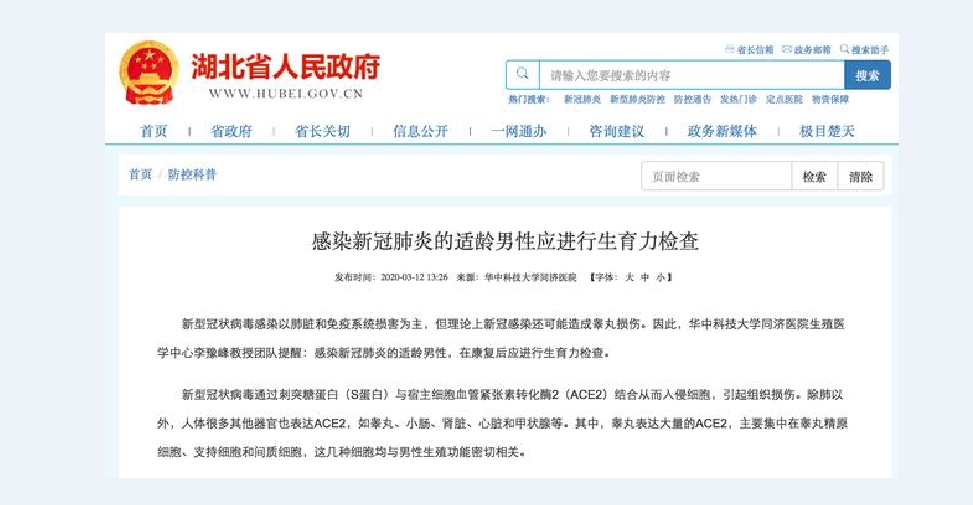 湖北省政府：感染新冠肺炎的適齡男性應進行生育力檢查