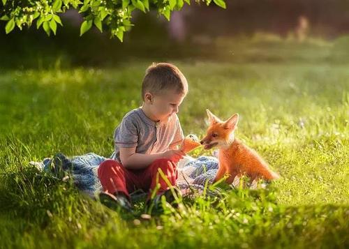 我們兒童要從小培養(yǎng)的6種黃金性格！