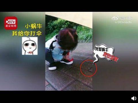 4歲小女孩為蝸牛撐傘 純真爆棚網友稱贊“太溫暖”