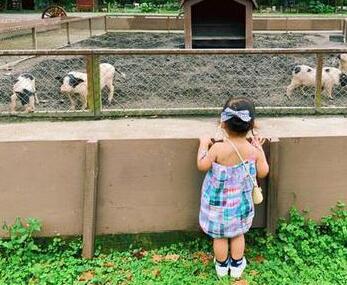 謝依霖帶娃去農(nóng)場踏青 女兒吃飼用胡蘿卜鬧笑話