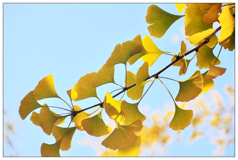 入秋謹記“4要2不要”，孩子健康生病少