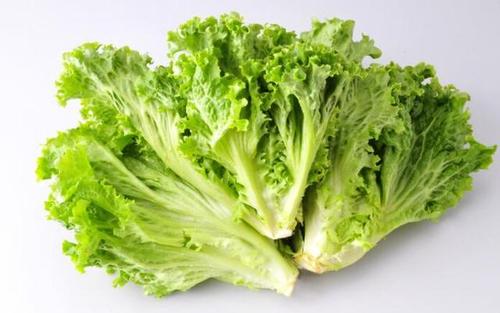 雞肉和生菜還有這么奇妙的搭配，你知道嗎？