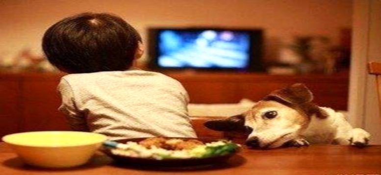 改掉孩子吃飯坐不住的小方法 跟著親貝來(lái)學(xué)習(xí)