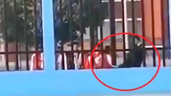 支教老師連踹小學(xué)生，你可知道何為為人師表？