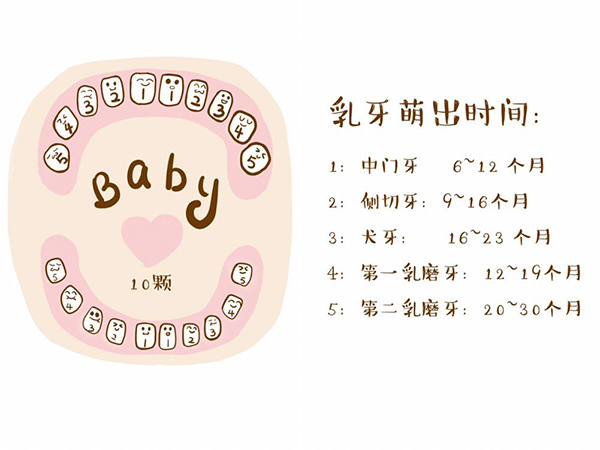 寶寶出牙期怎么護(hù)理？飲食方面千萬別大意