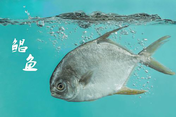 給孩子吃魚有講究，這幾種魚要遠離