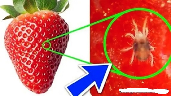 給孩子買水果的家長要注意了，這幾種水果不能買！