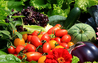 寶寶不愛吃蔬菜？四招幫你搞定