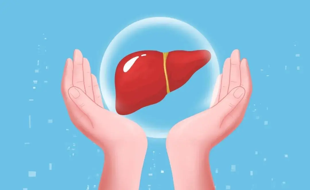 日常生活中該如何養(yǎng)肝？