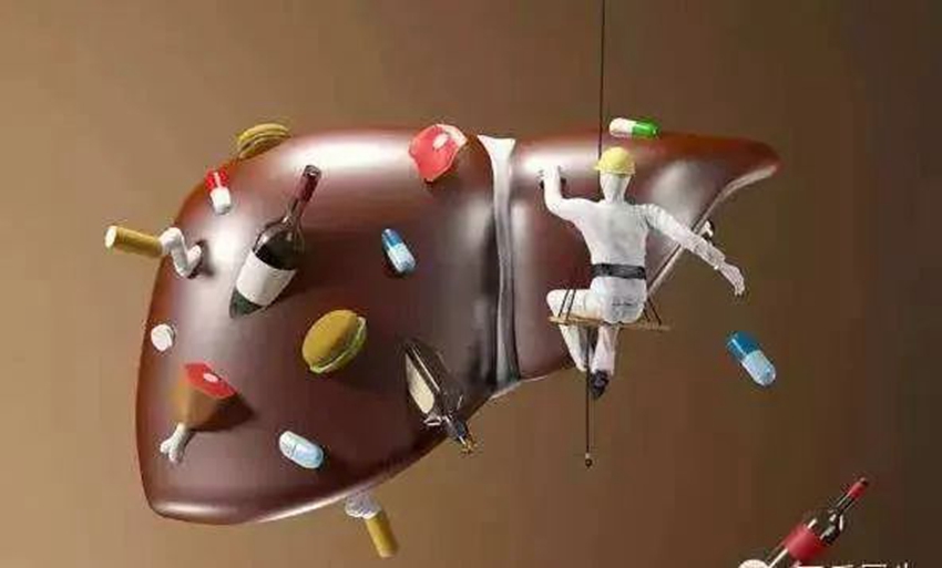 如何保護(hù)我們的“人體化工廠”——肝臟，解放軍總醫(yī)院肝病專家來(lái)支招