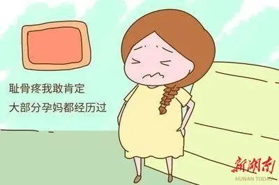 孕婦大腿根部痛？小心恥骨聯(lián)合分離！