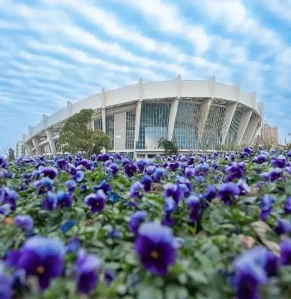 12個飲食和運動的建議，助你開啟更強大的兔年