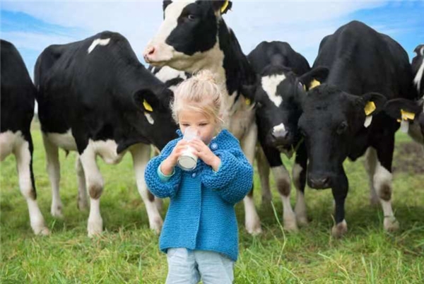 進(jìn)口奶粉哪個(gè)比較好？能立多重磅上新  助力寶寶更好消化吸收