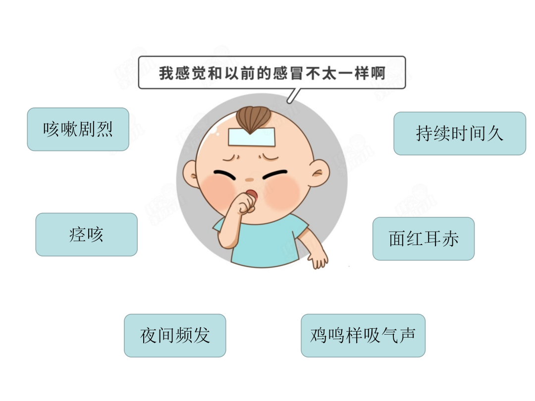 【微科普】“肺”常時(shí)期，“咳”不容緩