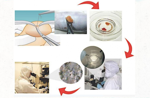 熱播臺劇《童話故事下集》揭露男性不孕，禾馨宜蘊(yùn)朱伯威院長權(quán)威解答