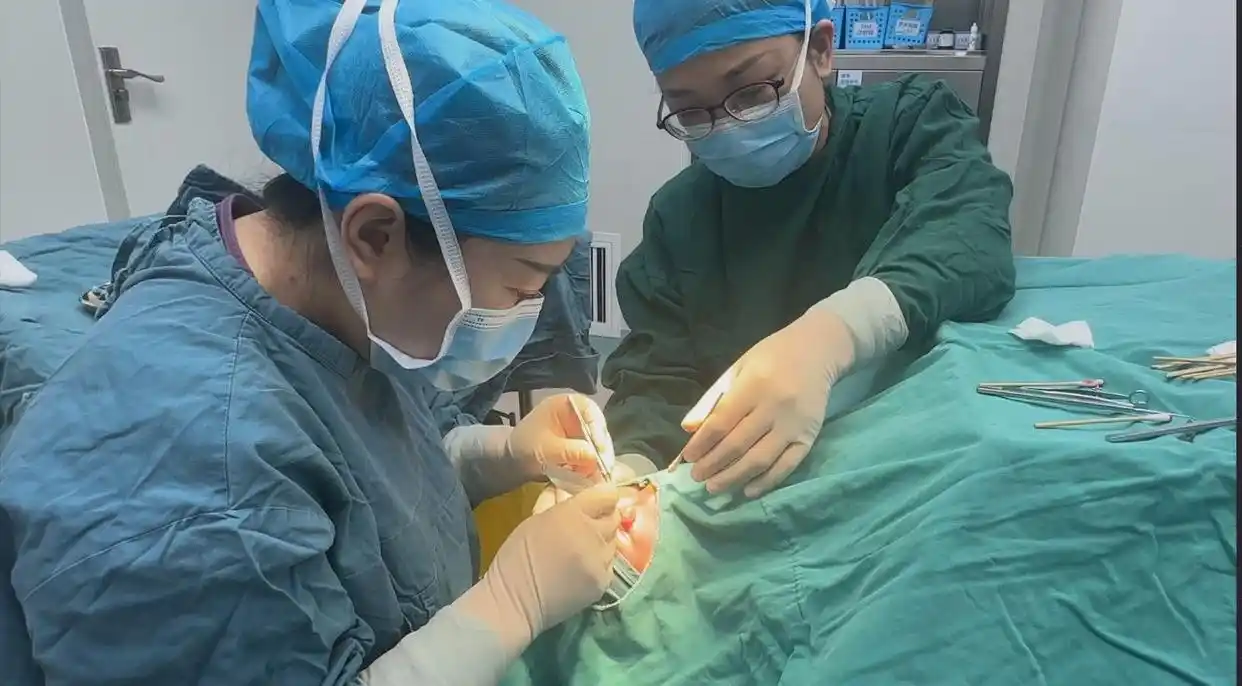 13歲少年雙眼竟成“螨蟲窩”！醫(yī)生提醒：這種生活習慣最招蟲